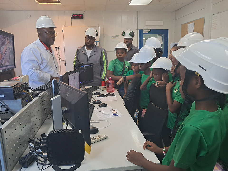 Nevis Electricity Company Limited (NEVLEC)
