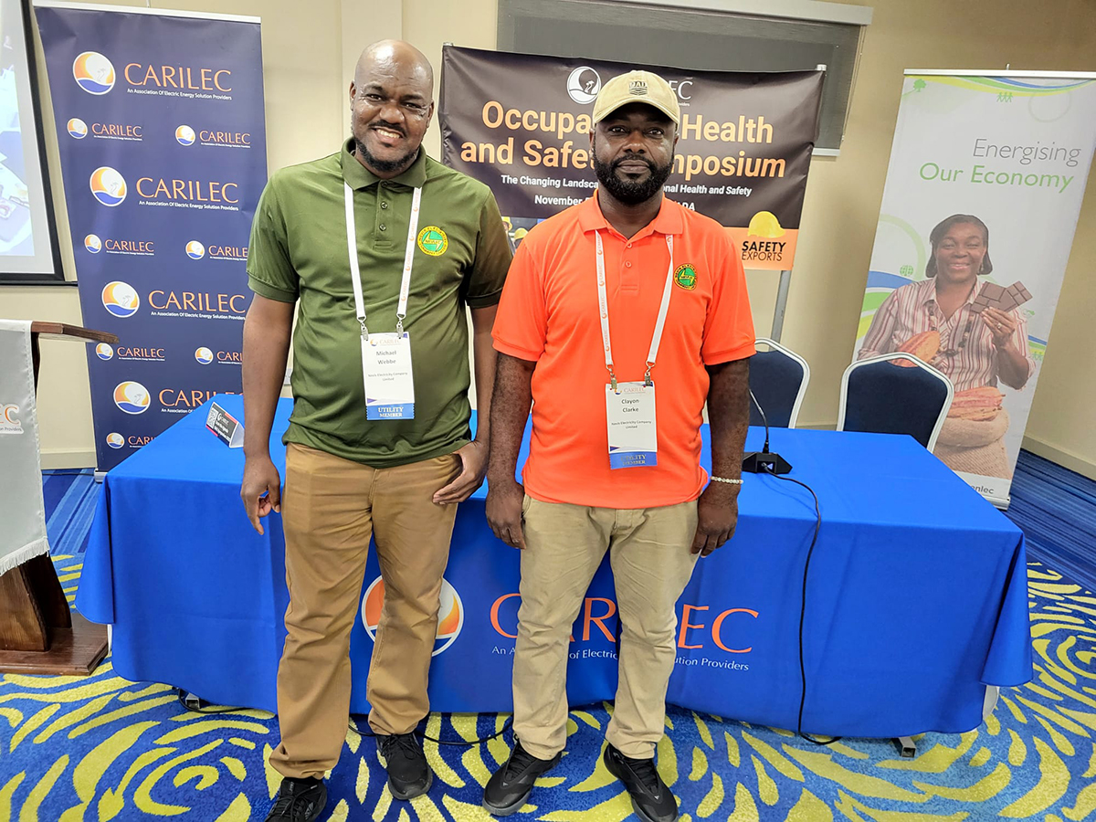 Nevis Electricity Company Limited (NEVLEC)