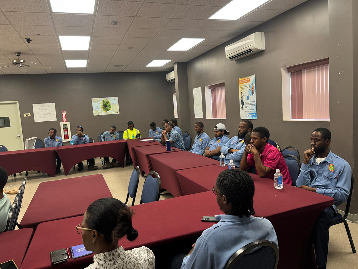 Nevis Electricity Company Limited (NEVLEC)